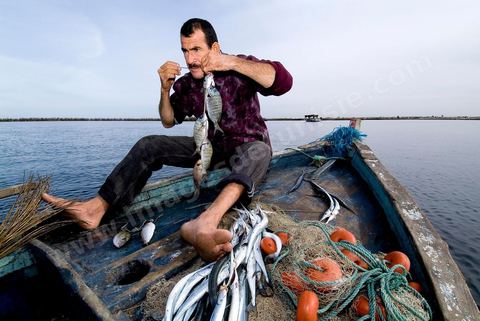 Pêche dasn les pêcheries fixes près de Mellita sur l'île de djerba