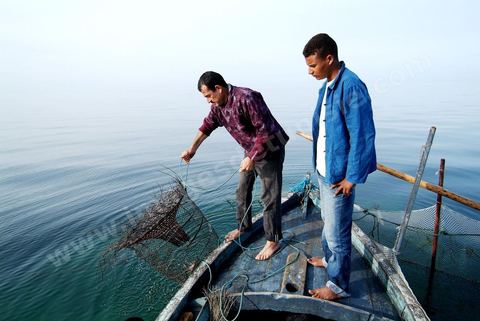 Pêche dasn les pêcheries fixes près de Mellita sur l'île de djerba
