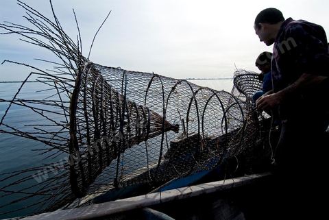 Pêche dasn les pêcheries fixes près de Mellita sur l'île de djerba