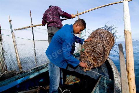 Pêche dasn les pêcheries fixes près de Mellita sur l'île de djerba