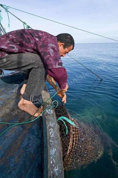 Pêche dasn les pêcheries fixes près de Mellita sur l'île de djerba