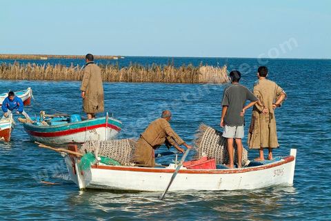 Peche traditionnelle dans les pecheries de Mellita - Ile de Djerba