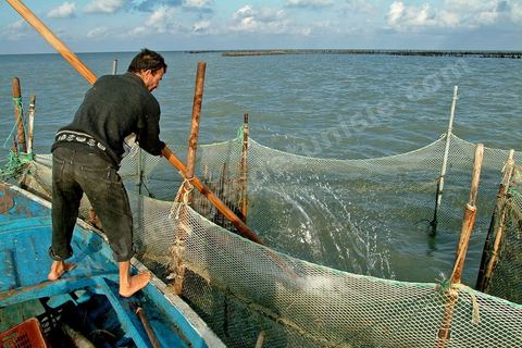 Peche traditionnelle dans les pecheries de Mellita - Ile de Djerba