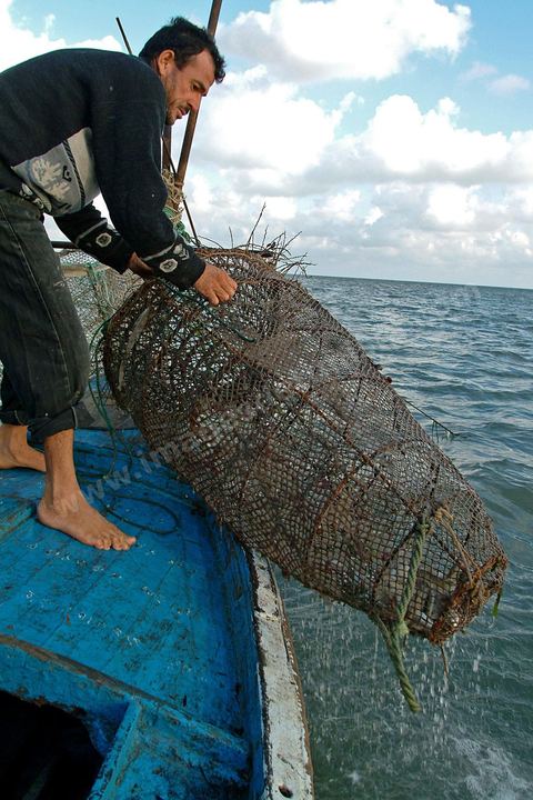 Peche traditionnelle dans les pecheries de Mellita - Ile de Djerba