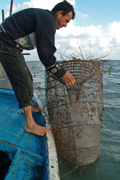Peche traditionnelle dans les pecheries de Mellita - Ile de Djerba