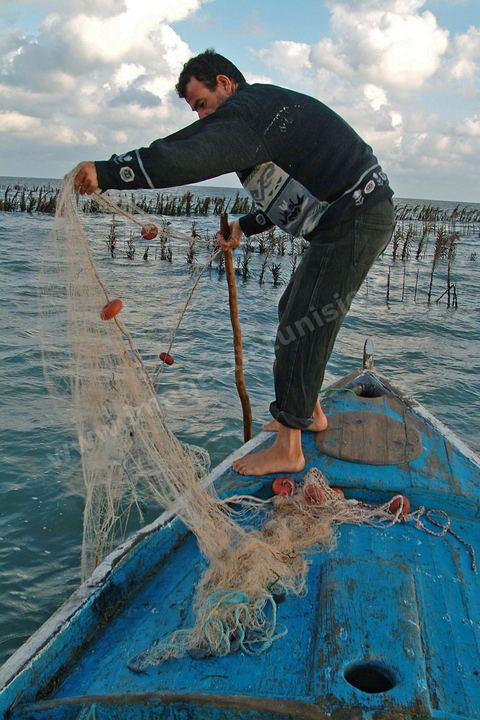 Peche traditionnelle dans les pecheries de Mellita - Ile de Djerba