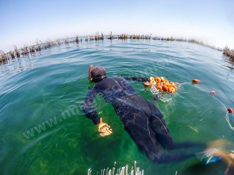 DCIM\101GOPRO