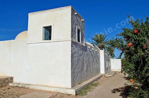 menzel traditionnel dans la campagne près de Midoun - Ile de Djerba