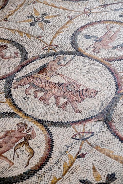 Mosaïque romaine dans le musée archéologique au coeur de la municipalité de Sfax, la seconde ville du pays et capitale du sud. Grande ville portuaire et industrielle, mais aussi culturelle avec ses remparts, sa medina, ses nombreux monuments historiques et ses musées. 