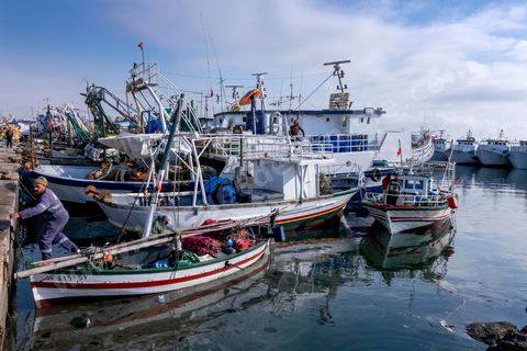 le port de pêche de Sfax, la seconde ville du pays et capitale du sud. Grande ville portuaire et industrielle, mais aussi culturelle avec ses remparts, sa medina, ses nombreux monuments historiques et ses musées. 
