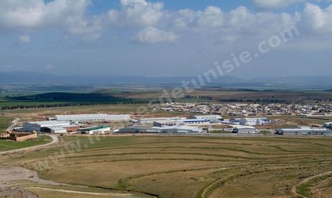 Zone industrielle en développement à Zriba entre Zaghouan et Hammamet - développement de zone industrielle dans les zones rurales.