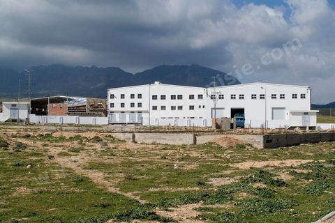 Zone industrielle en développement à Zriba entre Zaghouan et Hammamet - développement de zone industrielle dans les zones rurales.