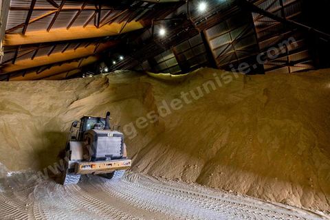 Usine de raffinage de sucre de Bizerte a été achetée par un investisseur libyen. Il s’agit d’une entreprise confisquée par l’Etat, rachetée par le libyen et louée, par la suite, à une entreprise française.