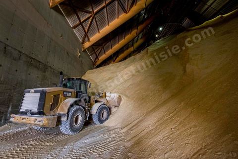 Usine de raffinage de sucre de Bizerte a été achetée par un investisseur libyen. Il s’agit d’une entreprise confisquée par l’Etat, rachetée par le libyen et louée, par la suite, à une entreprise française.