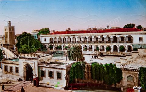Tunis - La Casbah 1955 - Carte postale ancienne Tunisie