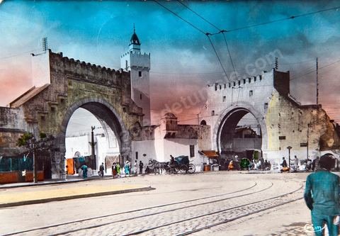 Tunis - Porte El Kadrah 1956 - Carte postale ancienne Tunisie