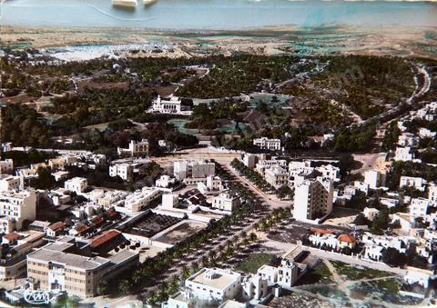 Tunis - Le parc du belvédère et le Casino 1956 - Carte postale ancienne Tunisie