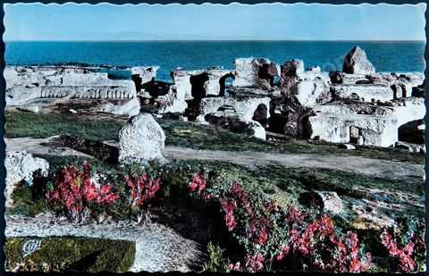 Les thermes d'Antonins de Carthage - 1963 - Carte postale ancienne Tunisie