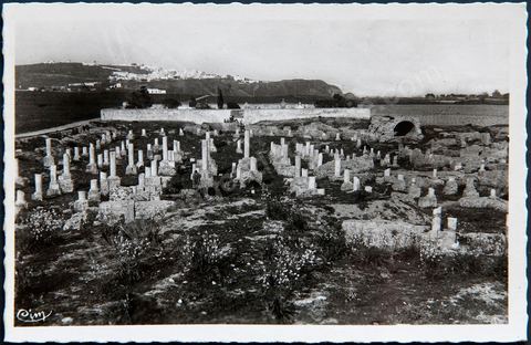 Basilique Damous El Karita à Carthage - Carte postale ancienne Tunisie