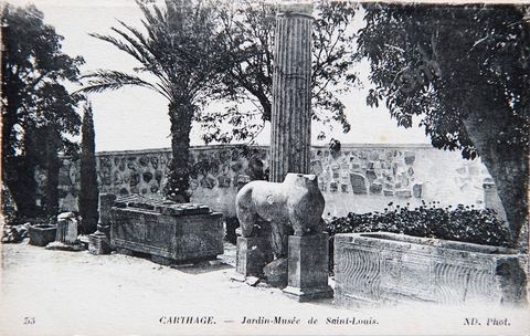 Carthage - Jardin du musée de Saint-Louis - Carte postale ancienne Tunisie