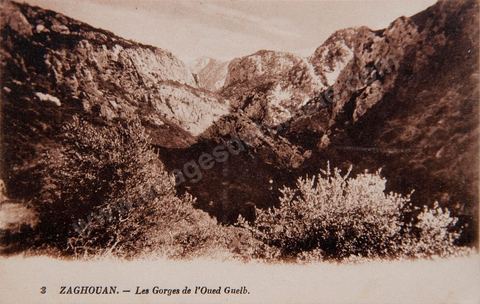 Les gorges de l'oued Guelb à Zaghouan 1922 - Carte postale ancienne Tunisie