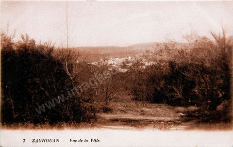 Vue de la ville de Zaghouan 1922 - Carte postale ancienne Tunisie