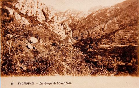 Les Gorges de l'Oued Dalia à Zaghouan 1922 - Carte postale ancienne Tunisie