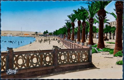 La corniche et la plage à Bizerte - Carte postale ancienne Tunisie