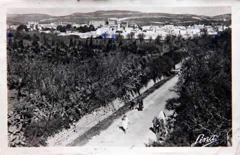View of the Ben Negro Road near Bizerte, 1949 - Vintage postcard from Tunisia