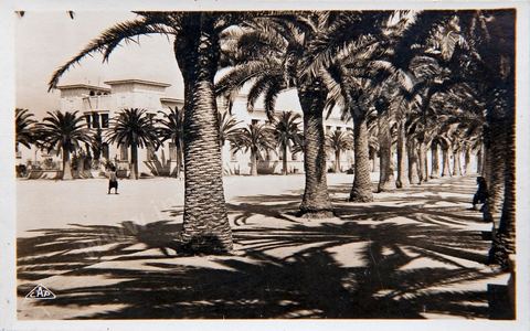 Avenue de la Marne and the Officers' Club in Bizerte, 1949 - Vintage postcard from Tunisia