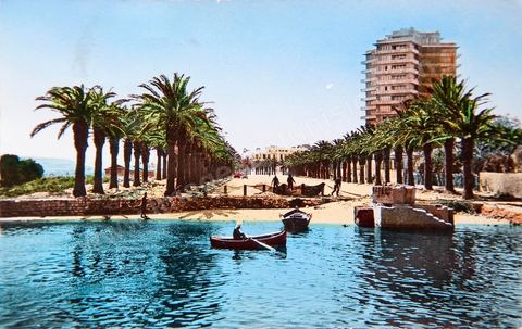 Bizerte - 1960 Habib Bougatfa Avenue - Vintage postcard from Tunisia