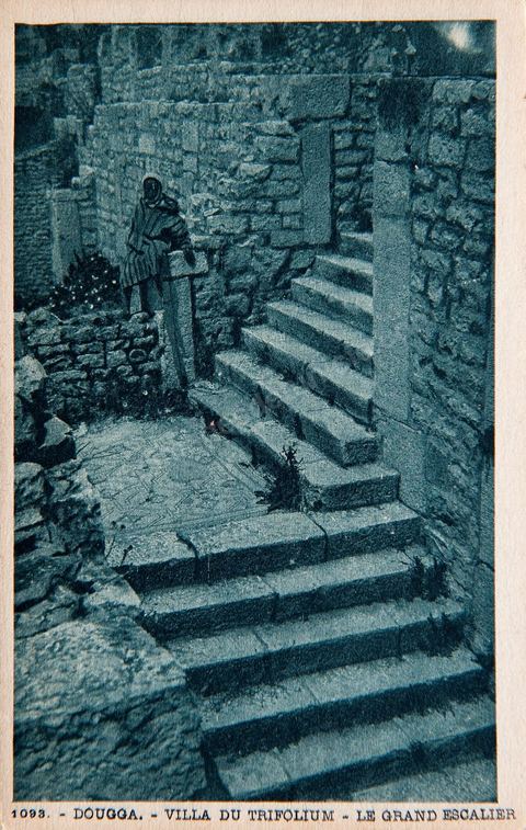 Villa du Trifolium et son grand escalier - Ruines romaines de Dougga - Carte postale ancienne Tunisie