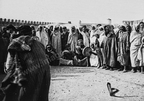 Charmeurs de serpents avec groupes de musiciens sur place à Kairouan près des remparts - Plaque de verre format 8,5x10 cm - photographe inconnu - date env 1850-1860