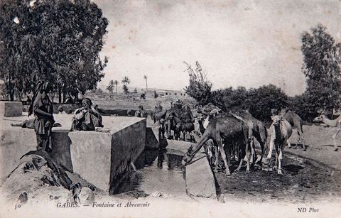 Fontaine et abreuvoir à Gabès - 1905 - Carte postale ancienne Tunisie