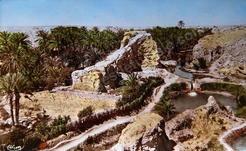 Gabès - Les bords de l'oued dans la palmeraie 1956 - Carte postale ancienne Tunisie