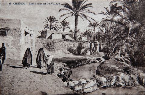 Rue à travers le village de Chenini le long d'un cours d'eau au couer de l'oasis - Carte postale ancienne Tunisie