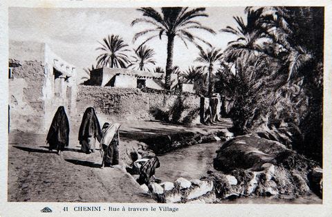 Rue à travers le village de Chenini le long d'un cours d'eau au couer de l'oasis - Carte postale ancienne Tunisie