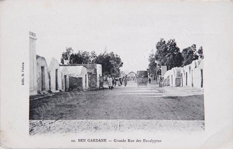 Ben Gardane - Grande rue des eucalyptus 1918 - Carte postale ancienne Tunisie