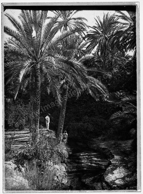 Paysage Oasis avec personnages - Plaque de verre format 13x18 cm - photographe inconnu - date env 1850-1860