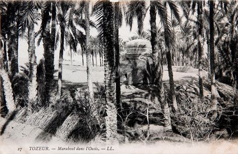 Marabout dans l'oasis de Tozeur - Carte postale ancienne Tunisie