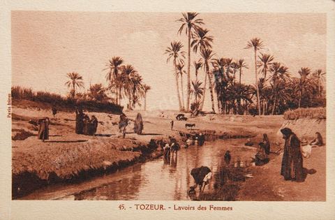 Lavoirs de femmes dans l'oasis de Tozeur - Carte postale ancienne Tunisie