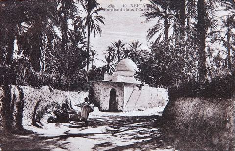 Marabout dans l'oasis de Nefta - Carte postale ancienne Tunisie