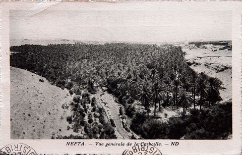 La Corbeille de Nefta - 1928 - Carte postale ancienne Tunisie