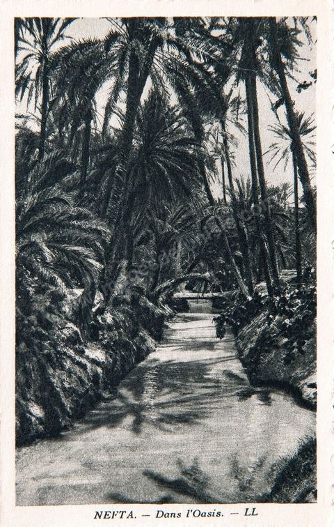 L'oued dans l'oasis de Nefta -1920 - Carte postale ancienne Tunisie