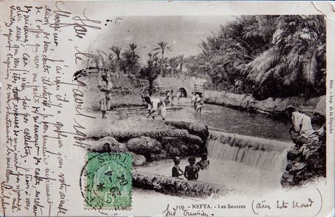 Les sources dans l'oasis de Nefta -1904 - Carte postale ancienne Tunisie