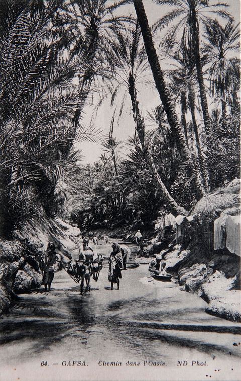 Chemin dans l'oasis de Gafsa - Carte postale ancienne Tunisie