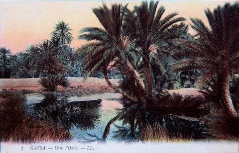 Dans l'oasis de Gafsa - Carte postale ancienne Tunisie