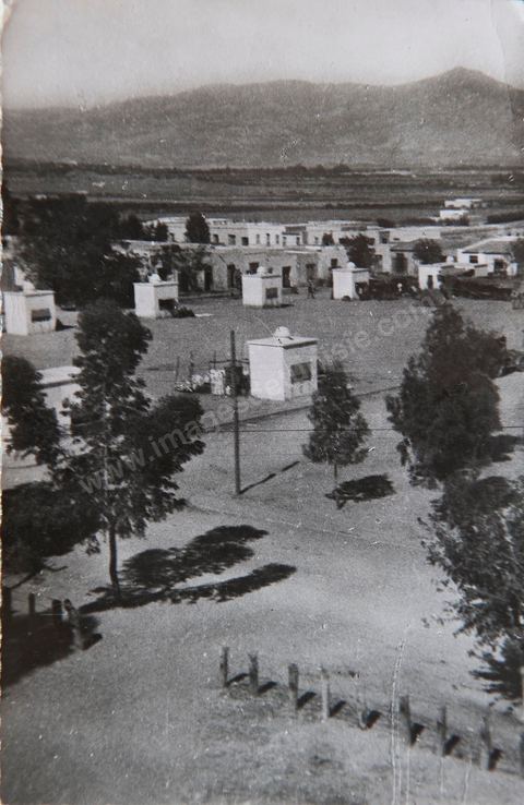 Kasserine - Place du marché 1955 - Carte postale ancienne Tunisie