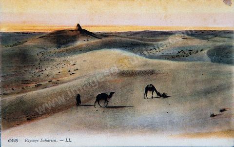 Paysage Saharien 1918 - Carte postale ancienne Tunisie