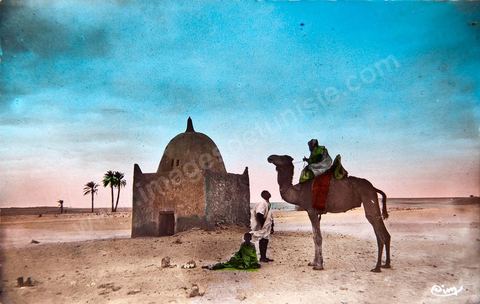 Le désert- Un facteur du désert 1955 - Carte postale ancienne Tunisie